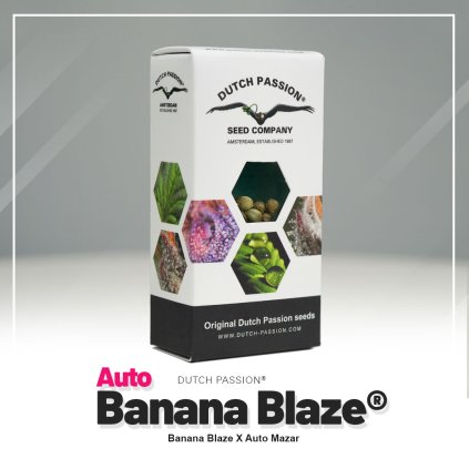VÝPRODEJ Auto – samonakvétací semena | Banana Blaze® AUTO | Dutch Passion