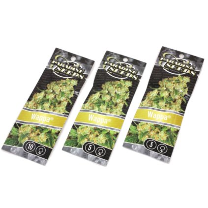 Wappa | Paradise Seeds