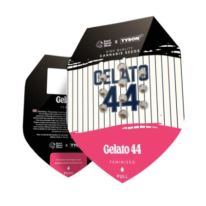 VÝPRODEJ – feminizovaná semena | Gelato 44 | Tyson 2.0 SEEDS MIKE TYSON