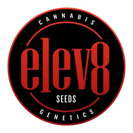 elev8 logo