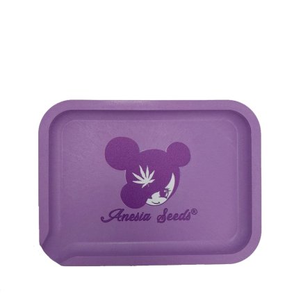 anesia seeds tray semenacannabis cz 1024x1024 v2