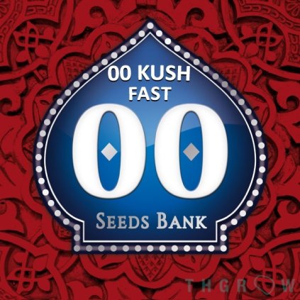 kush fast 00seeds
