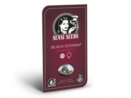 Black Domina | Sensi Seeds