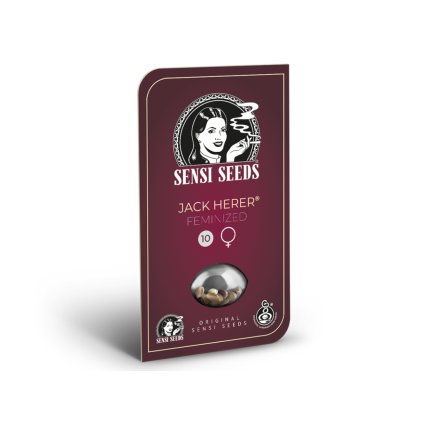 Jack Herer – feminizovaná semena | Sensi Seeds
