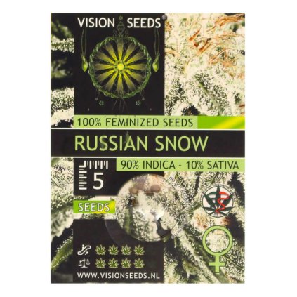 Russian Snow – feminizovaná semena | Vision Seeds