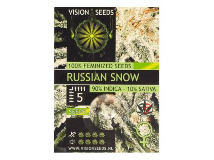 Russian Snow | Vision Seeds