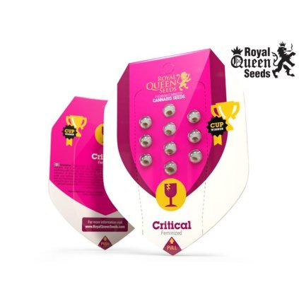 Critical | Royal Queen Seeds