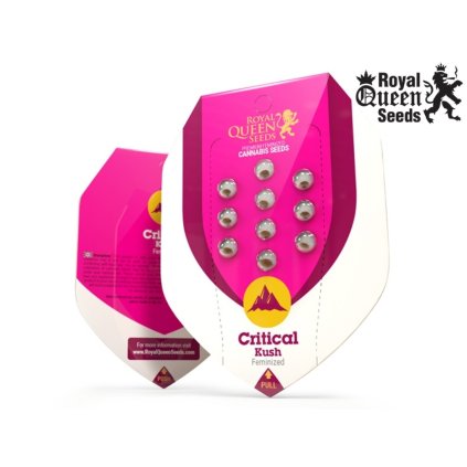 Critical Kush – feminizovaná semena | Royal Queen Seeds