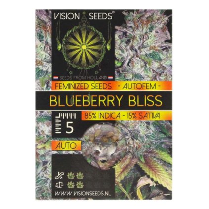 Blueberry Bliss AUTO Auto – samonakvétací semena | Vision Seeds