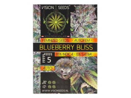 Blueberry Bliss AUTO | Vision Seeds