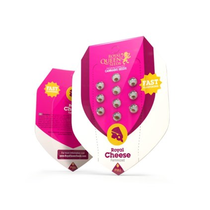 Royal Cheese FAST – rychlekvetoucí semena | Royal Queen Seeds