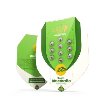 Royal Bluematic | Royal Queen Seeds
