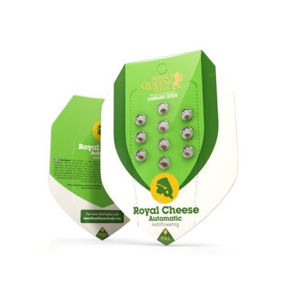 Royal Cheese AUTO Auto – samonakvétací semena | Royal Queen Seeds