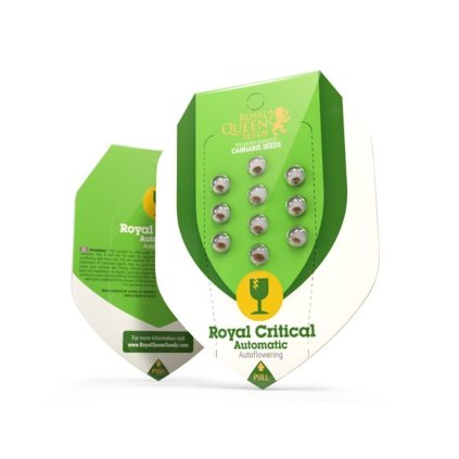 Royal Critical AUTO Auto – samonakvétací semena | Royal Queen Seeds