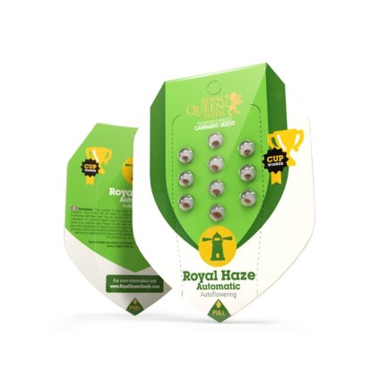 Royal Haze AUTO | Royal Queen Seeds