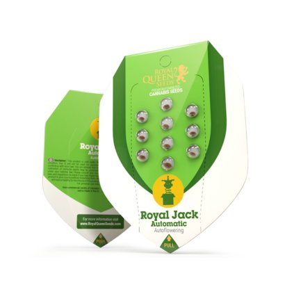 Royal Jack AUTO Auto – samonakvétací semena | Royal Queen Seeds