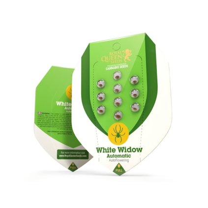 White Widow AUTO Auto – samonakvétací semena | Royal Queen Seeds