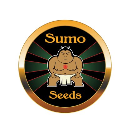 thunderstruck feminized cannabisseeds