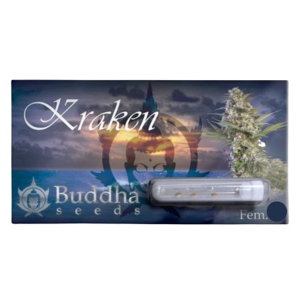 Kraken | Buddha Seeds