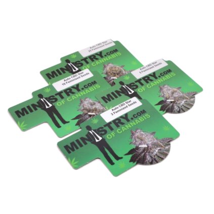 Star AUTO CBD Auto – samonakvétací semena | Ministry Of Cannabis