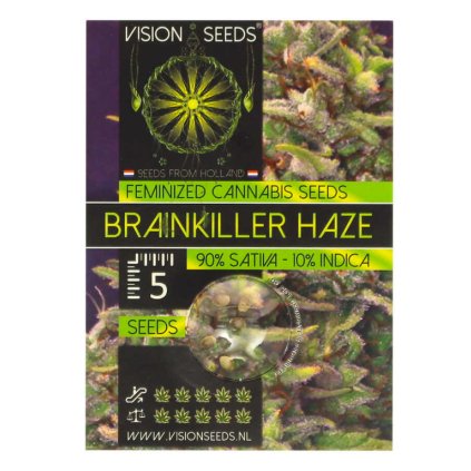 Brain Killer Haze | Vision Seeds