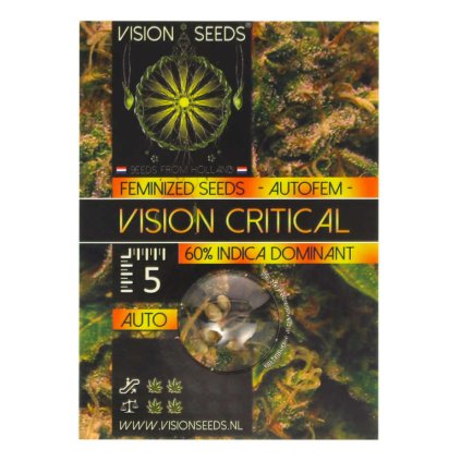 Vision Critical AUTO Auto – samonakvétací semena | Vision Seeds
