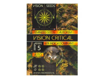 Vision Critical AUTO | Vision Seeds