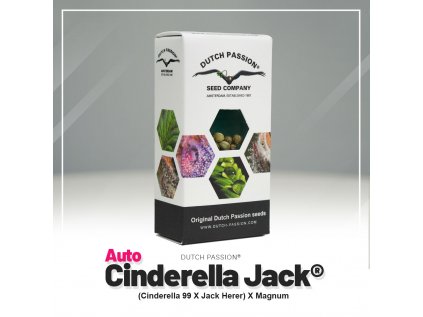 Cinderella Jack® AUTO | Dutch Passion