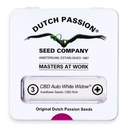 White Widow AUTO CBD Auto – samonakvétací semena | Dutch Passion