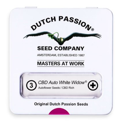 White Widow AUTO CBD | Dutch Passion