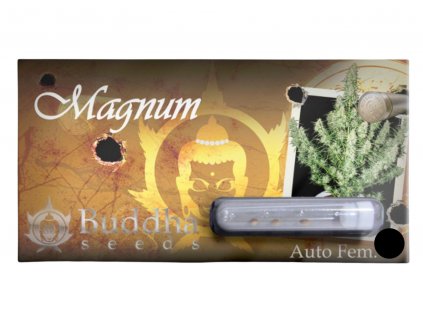 Magnum AUTO | Buddha Seeds ((Ks) Feminized 1)