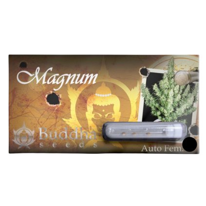 Magnum Auto | Buddha Seeds