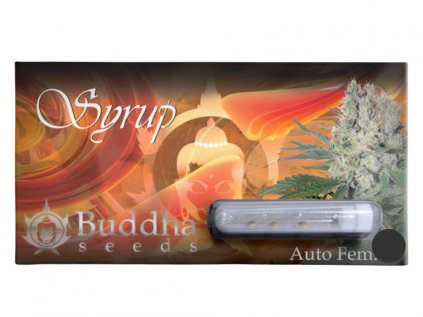 Syrup AUTO | Buddha Seeds ((Ks) Feminized 1)