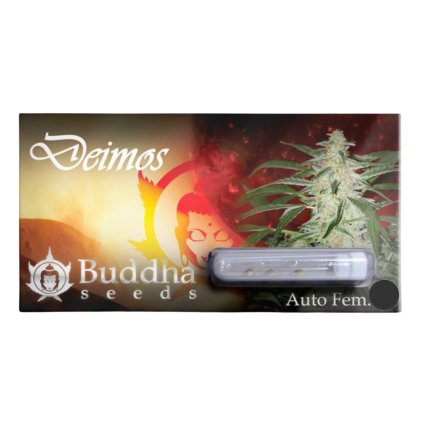 Deimos Auto | Buddha Seeds