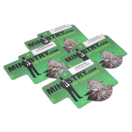 Pilot XXL AUTO Auto – samonakvétací semena | Ministry Of Cannabis