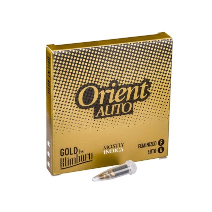 Orient AUTO Auto – samonakvétací semena | Blimburn Seeds