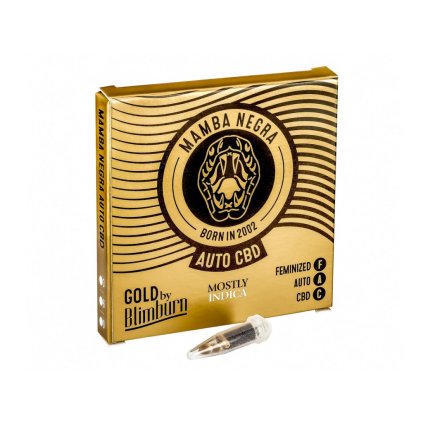 Mamba Negra AUTO CBD – samonakvétací semena | Blimburn Seeds