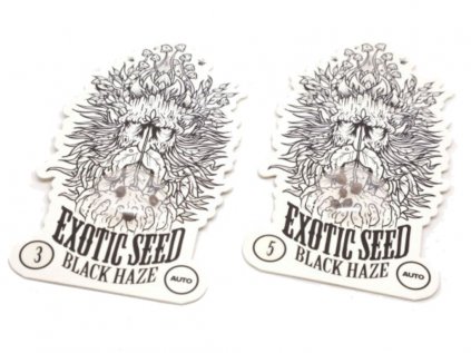Black Haze AUTO | Exotic Seeds