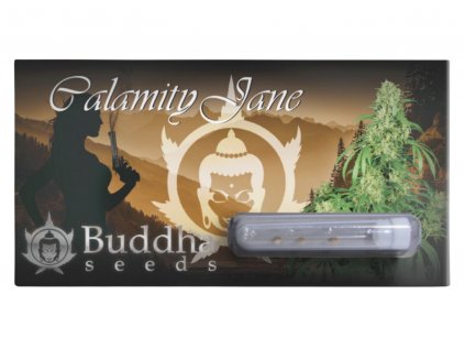 Calamity Jane AUTO | Buddha Seeds ((Ks) Feminized 1)