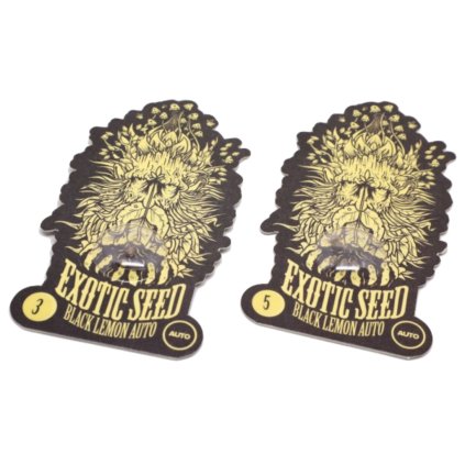 Black Lemon AUTO Auto – samonakvétací semena | Exotic Seeds