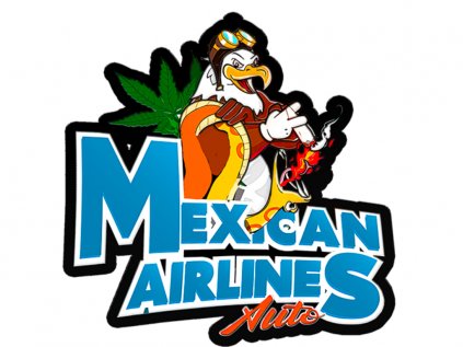 Mexican Airlines AUTO | Fast Buds