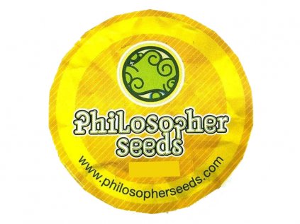 Cheesy AUTO | Philosopher Seeds