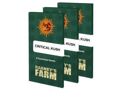 Critical Kush™ | Barneys Farm ((Ks) Feminized 10 + 3 Zdarma)