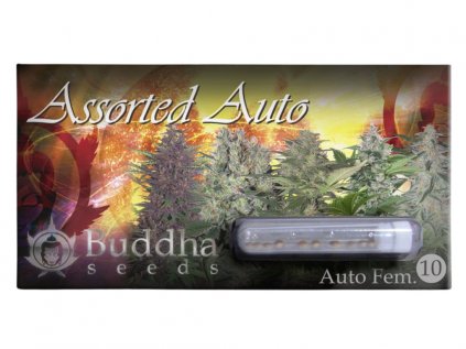 Assorted AUTO | Buddha Seeds ((Ks) Feminized 50)