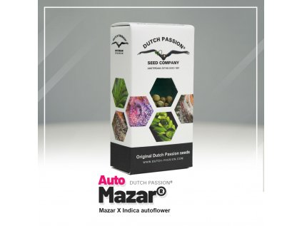 Mazar® AUTO | Dutch Passion