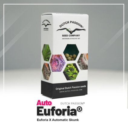 Euforia® AUTO Auto – samonakvétací semena | Dutch Passion