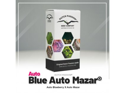 Blue Mazar® AUTO | Dutch Passion