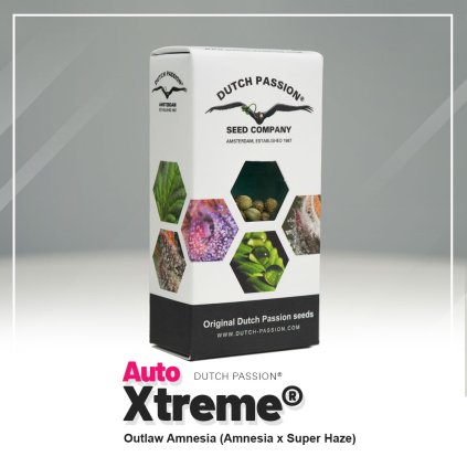 AUTO Xtreme | Dutch Passion