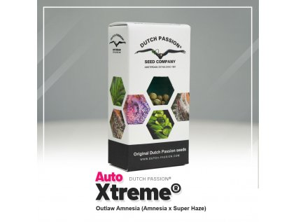 Xtreme® AUTO| Dutch Passion