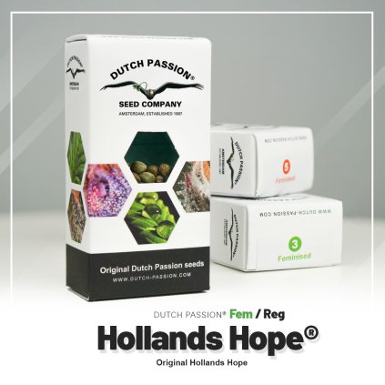 Hollands Hope | Dutch Passion